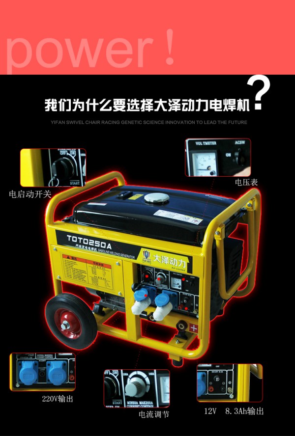 250A汽油焊机TOTO250A彩页 (5)