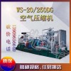WS-20/250DG 空气压缩机