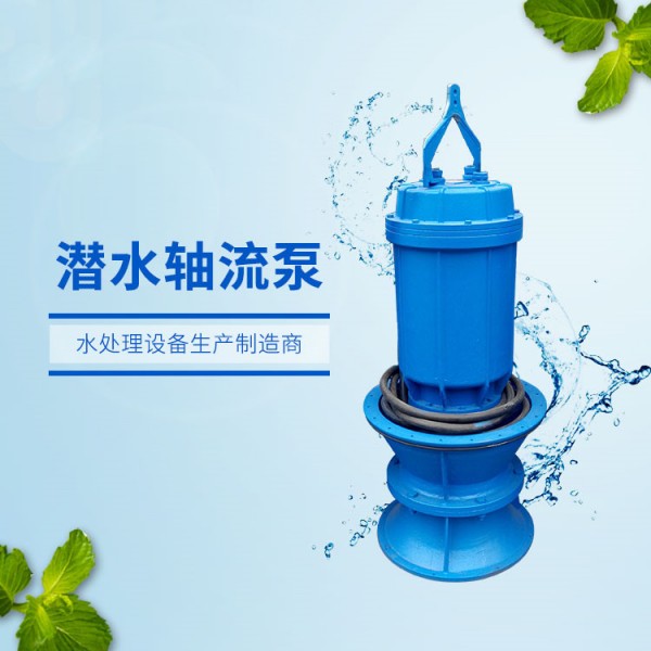 潜水轴流泵 (7)